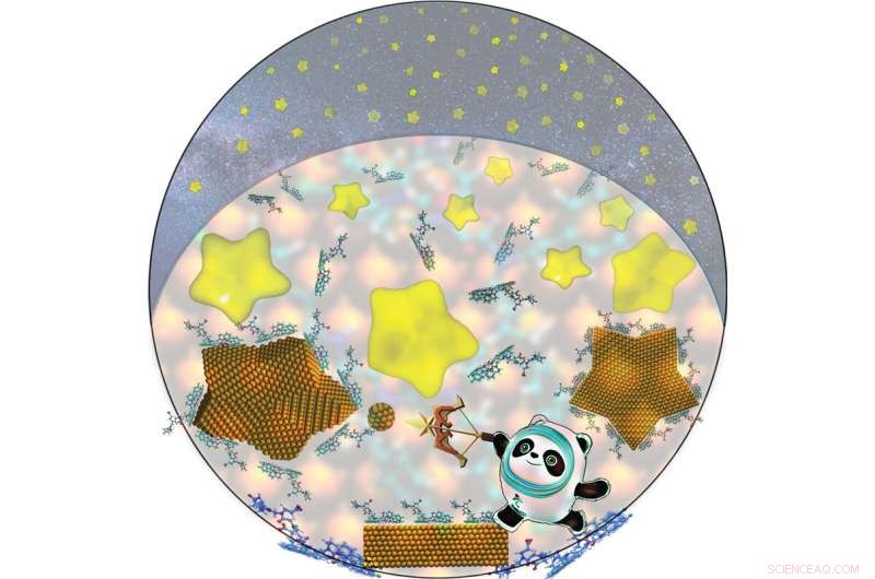 Scientists Engineer Bio‑Inspired Molecule to Fabricate Precise Gold Nanostars