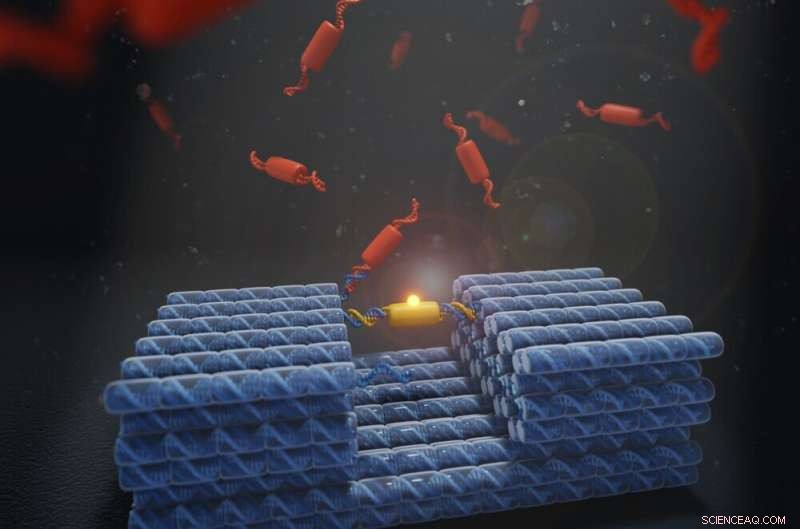 Engineering Durable, Nature-Inspired Autonomous Nanomachines for Medical Applications