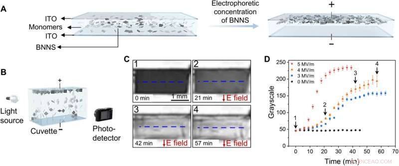 Unimorph Nanocomposite Dielectric Elastomer: Scalable Actuation with Superior Performance