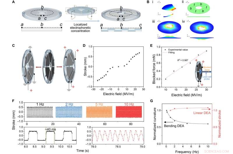 Unimorph Nanocomposite Dielectric Elastomer: Scalable Actuation with Superior Performance
