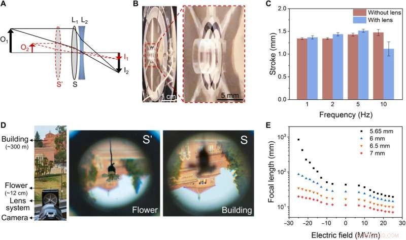 Unimorph Nanocomposite Dielectric Elastomer: Scalable Actuation with Superior Performance