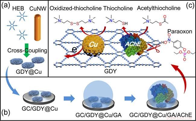 Advanced Electrochemical Biosensor for Accurate, Interference‑Free Detection of Organophosphorus Pesticides