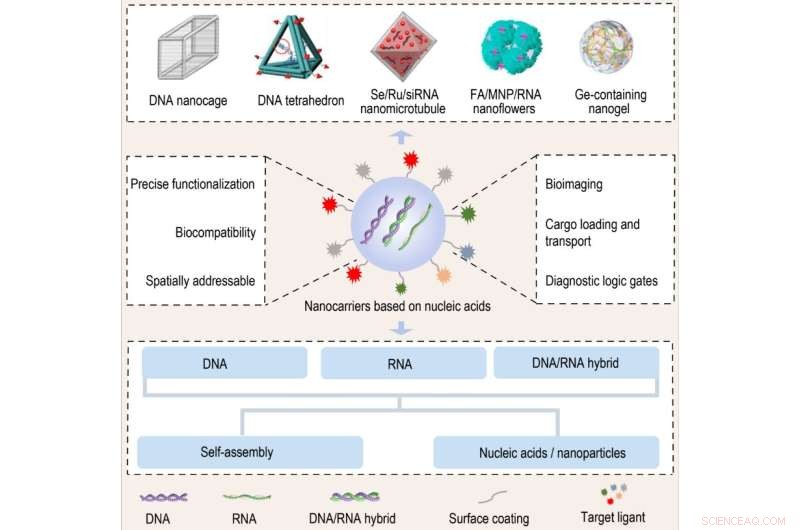Nucleic Acid Nanocarriers: Pioneering the Future of Nanomedicine