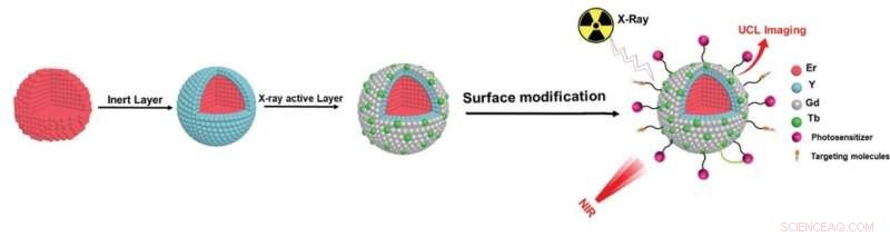 Innovative Nanoparticles Designed for Superior Deep Tumor Photodynamic Therapy