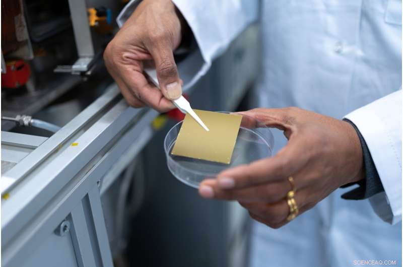 2D Silicon Dioxide: A Novel Molecular and Ion Sieve