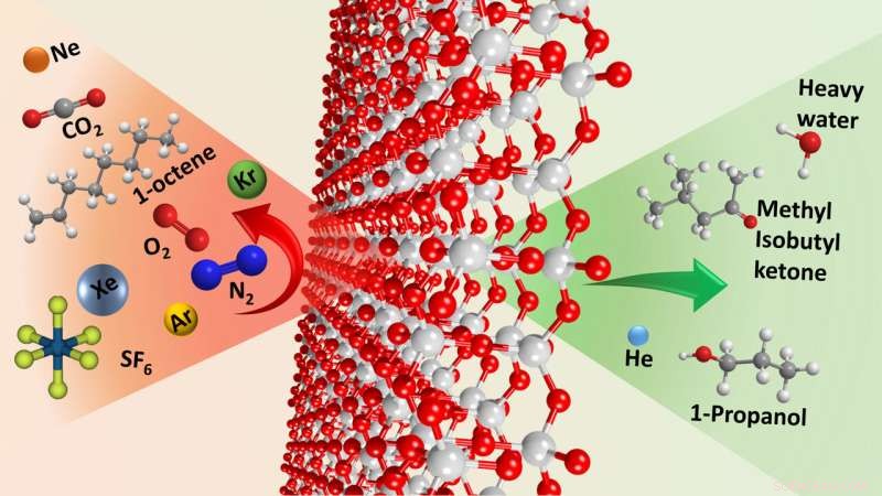 2D Silicon Dioxide: A Novel Molecular and Ion Sieve