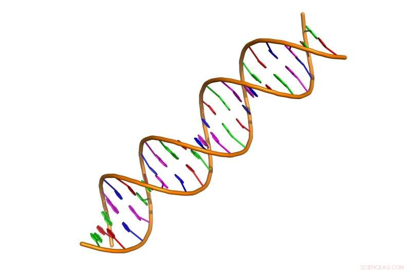 DNA: The Next Frontier in Data Storage, Research Shows