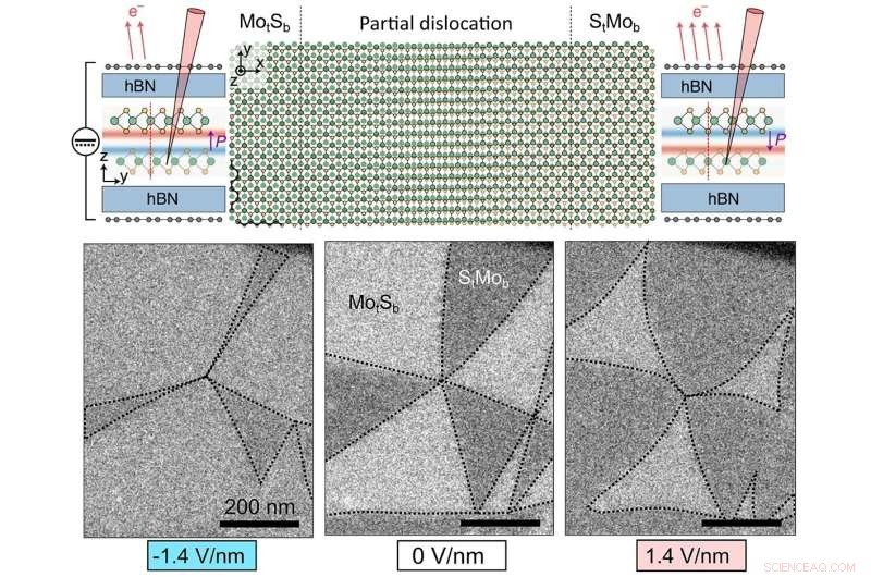 Engineering 2D Semiconductors with Integrated Memory Functions