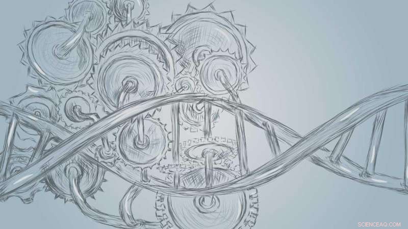 DNA Nanodevices: Targeting Tumor Cells for Immune System Recognition