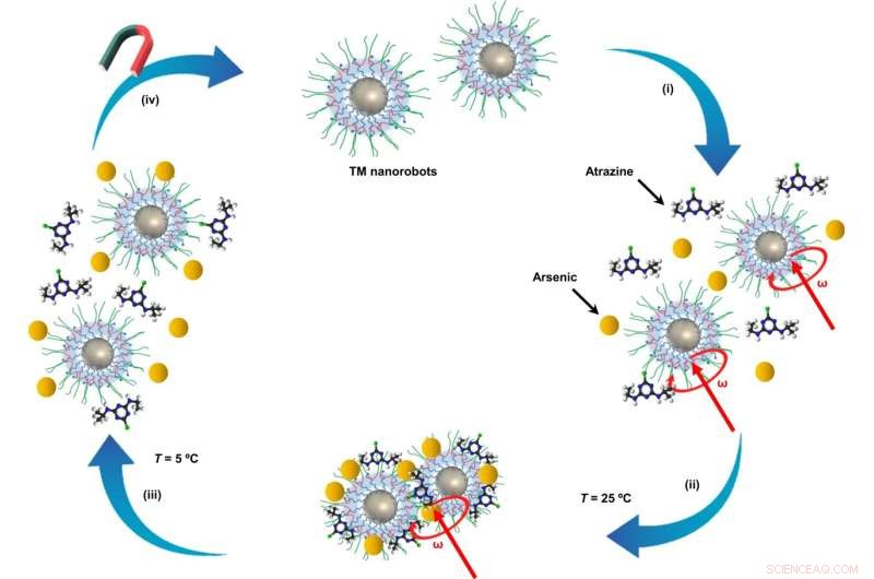 Nanorobots Clean Heavy Metals from Polluted Water: A Breakthrough Solution
