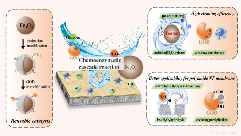 Sustainable Nanoparticle Cleaning for Wastewater Treatment Filters