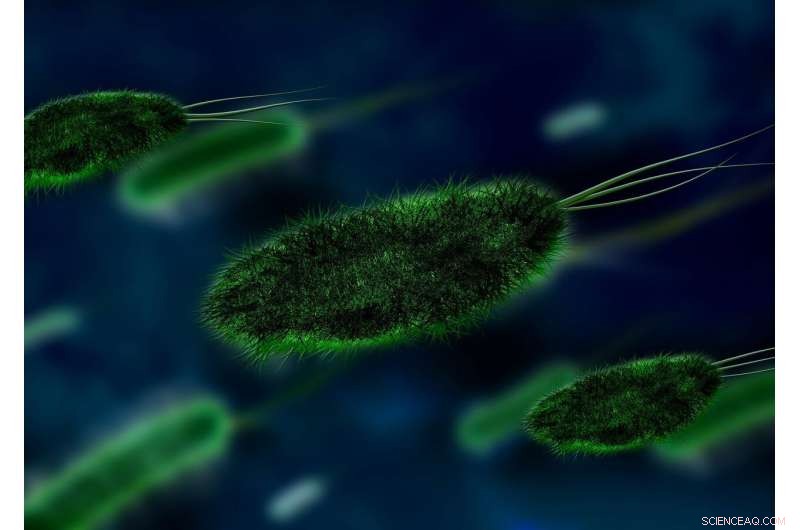 Pathogen-Repellent Wrap Demonstrates Ability to Eliminate Viruses and Bacteria, Enhancing Infection Control