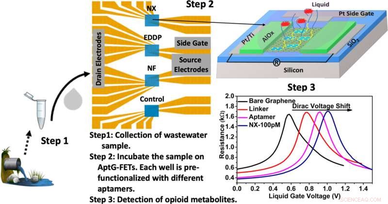 Graphene Sensor Detects Opioid Metabolites in Wastewater—Fast, Accurate, and Multiplexed