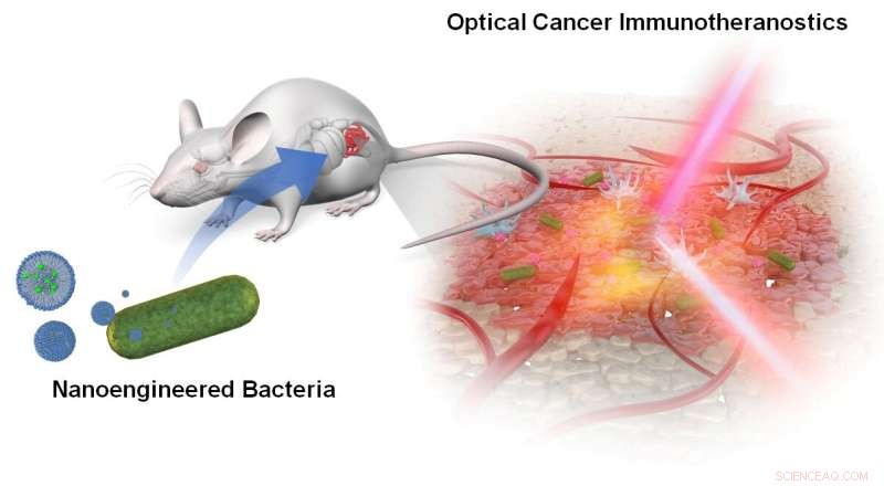 Nanoengineered Bacteria for Precise Cancer Optotheranostics: A Breakthrough Approach