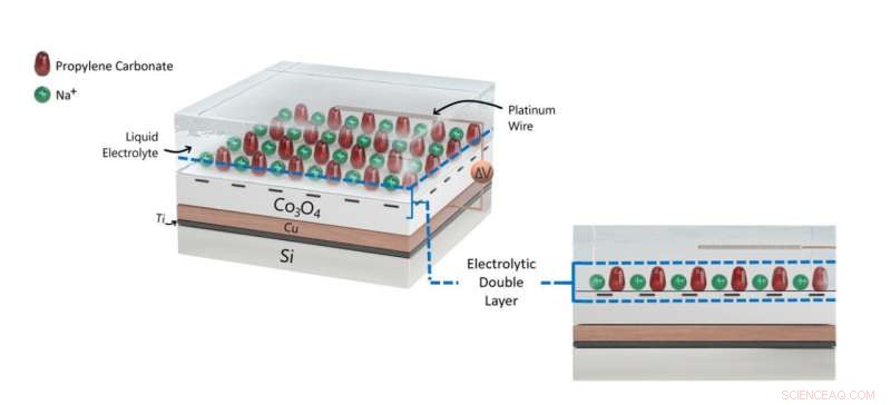 Magnetic Systems Mimic Brain s Learning and Forgetting: A Breakthrough in Neuromorphic Computing