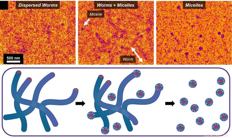 Monte Carlo Simulations Illuminate Dynamics in Electron Microscopy