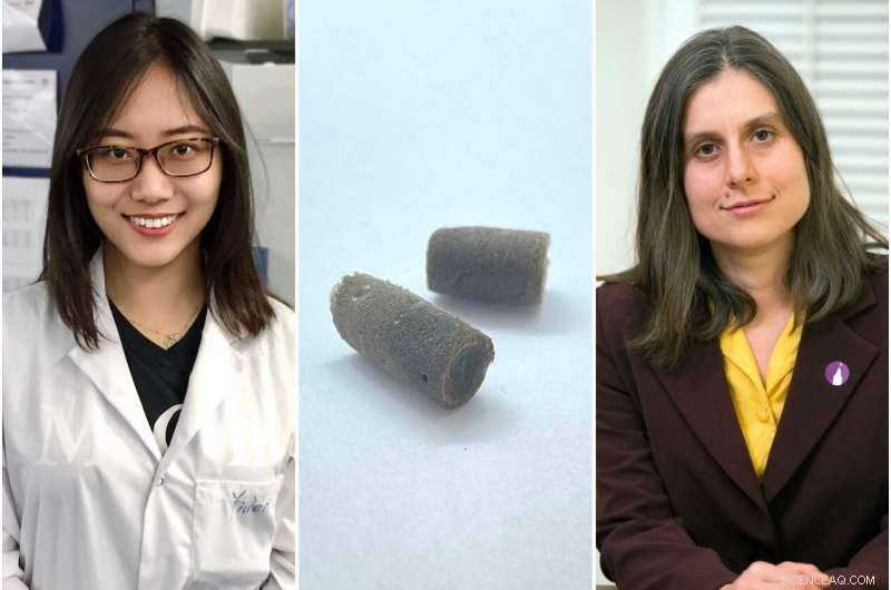 Revolutionizing Bone Repair: A New Synthetic Scaffold Method