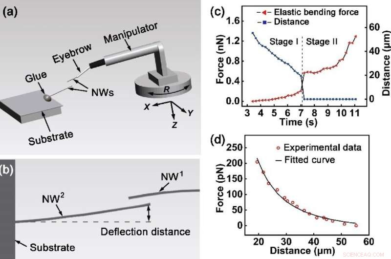 Scientists Reveal the Science Behind Nanowire Adhesion