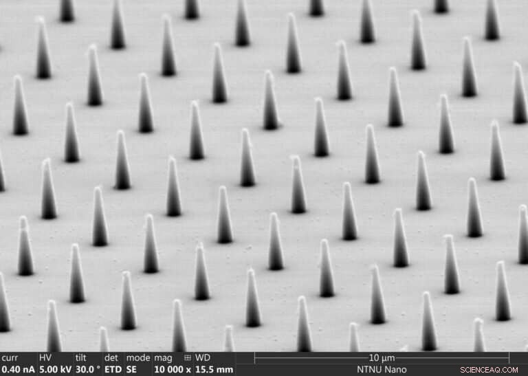 Nanopillar Substrates Mimic Cells’ Natural Microenvironment