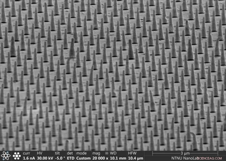 Nanopillar Substrates Mimic Cells’ Natural Microenvironment