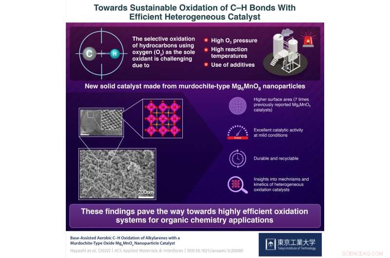 Reusable Catalyst Enhances C–H Bond Oxidation with Oxygen, Boosting Efficiency and Sustainability