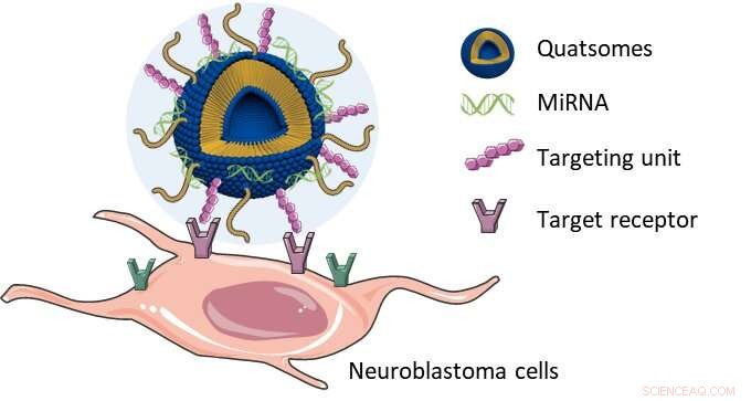 GMP‑Compliant Quatsomes: Stable Nanovesicles for Targeted microRNA Delivery in Cancer Therapy