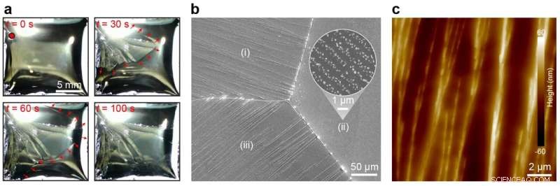 Liquid Metal Surface Patterns: Bridging Science and the Romance of the Three Kingdoms