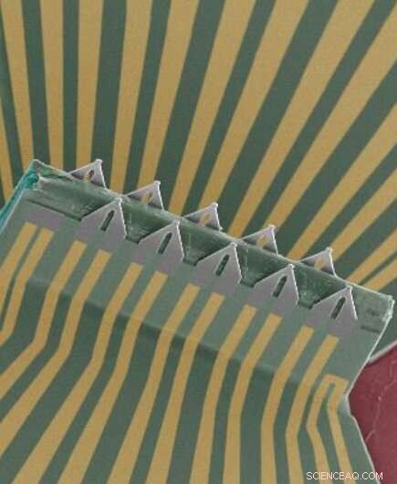 3D Transistor Array Device for High‑Resolution Intra‑ and Inter‑Cellular Electrical Recordings