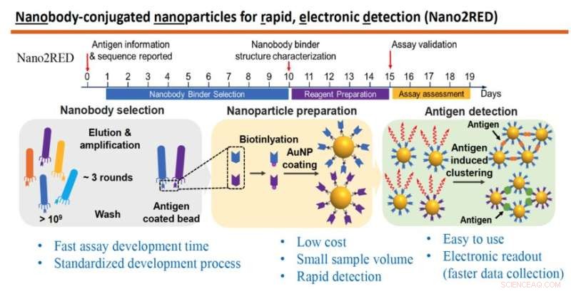 Fast, Cost-Effective, Accurate Nanosensors for Infectious Disease Detection