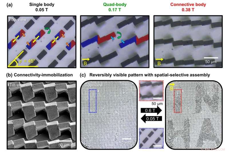 Controlled Magnetic Self‑Assembly of Micropillar Arrays Achieving Long‑Range Order