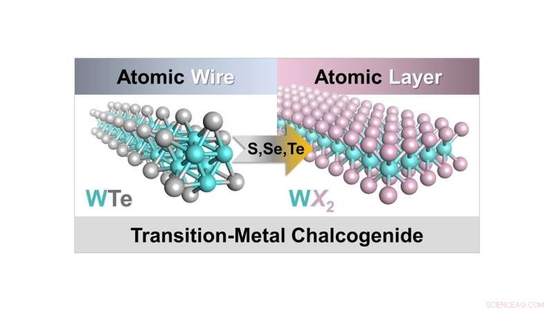 Researchers Create Atomically Thin Nanoribbons from Transition‑Metal Chalcogenide Nanowires