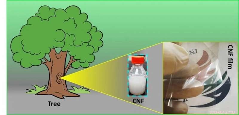 Ultra-Strong, Ultra-Thin Transparent Films from Cellulose Nanofibers: Versatile Applications