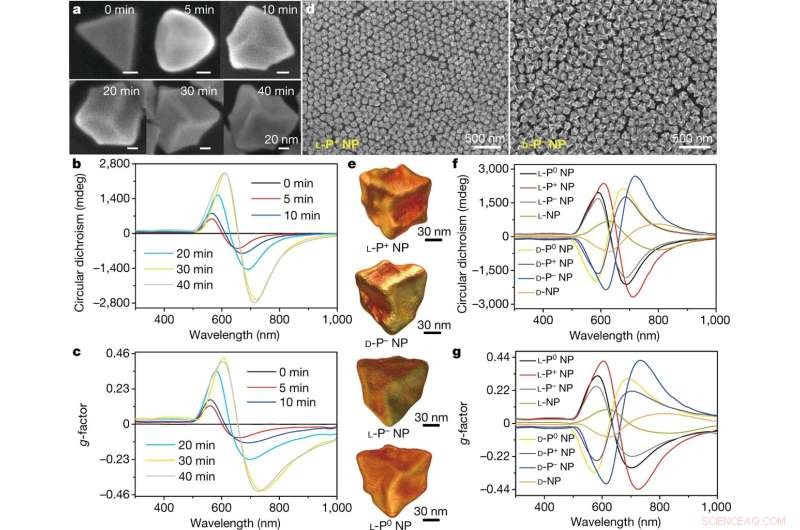 Enhancing Influenza Immunity with Chiral Gold Nanoparticles: A Breakthrough Study