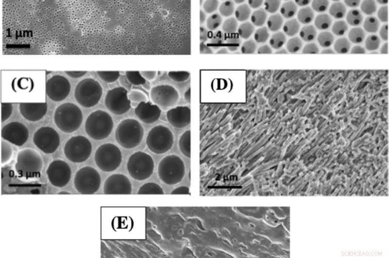 Maize and Milk Proteins: Sustainable Alternatives to Fossil Fuels and Metals in Nanostructured Surface Production
