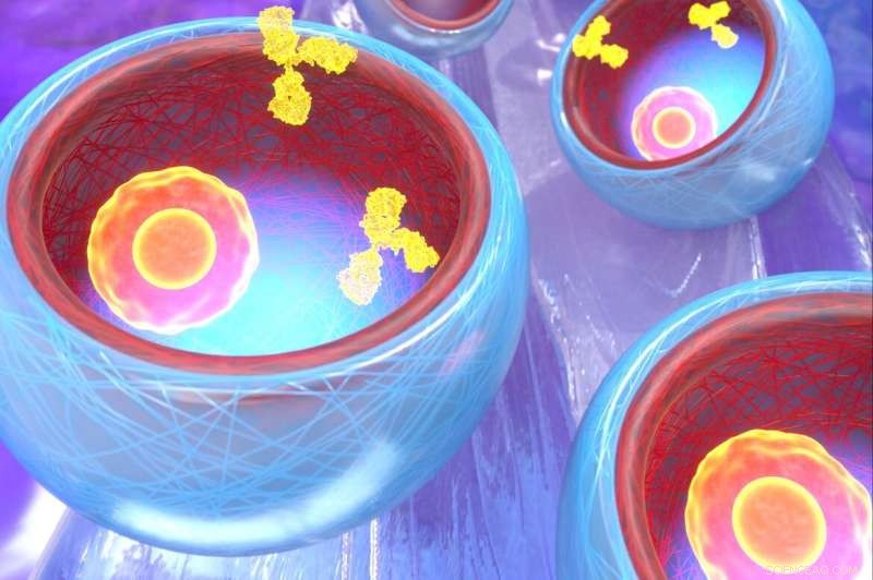 Rapid Hydrogel Microparticle Production Boosts Drug Development & Cell Strain Innovation