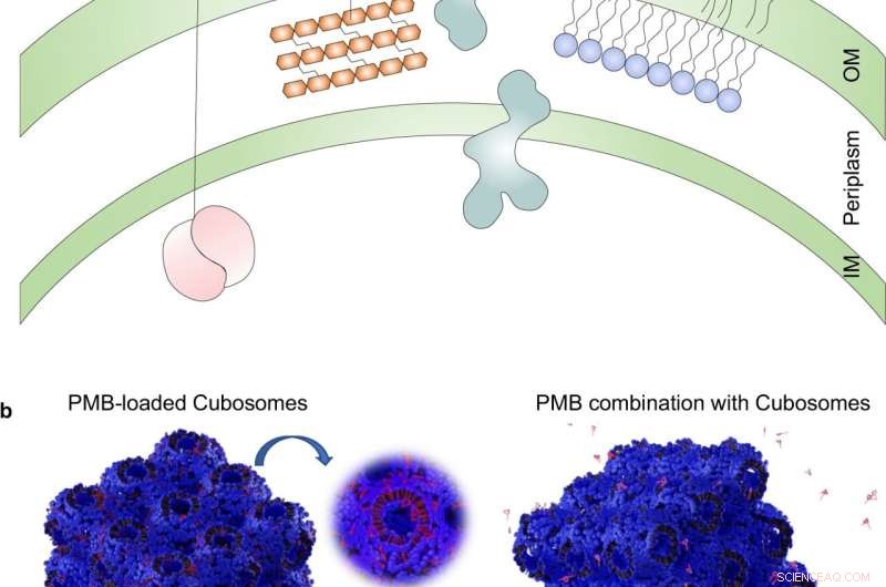 Innovative Antimicrobial Therapies Targeting Multi‑Drug Resistant Superbugs