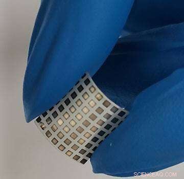 Camels’ Noses Inspire a Robust, Ultra‑Sensitive Humidity Sensor