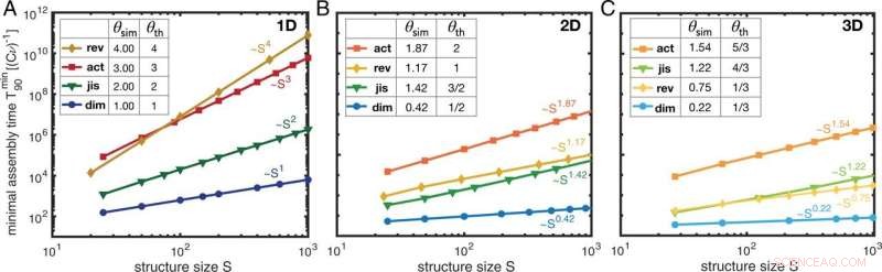 Optimizing Self-Organization of Complex Structures: A Time Complexity Analysis