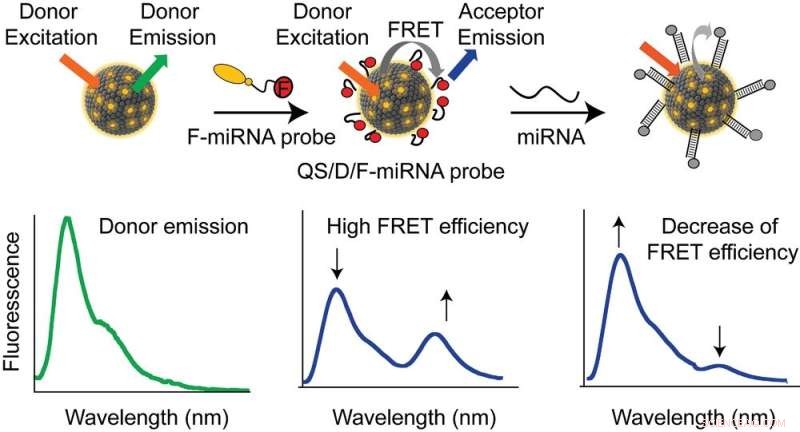 Advanced Fluorescent Nanovesicles for Accurate Intracellular Biomarker Detection