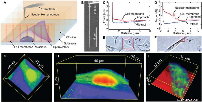 Mapping Intracellular Nanostructures in Live Cells with Nanoendoscopy AFM