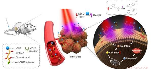 Light-Activated, Drug-Free Macromolecules for Precision Tumor Therapy