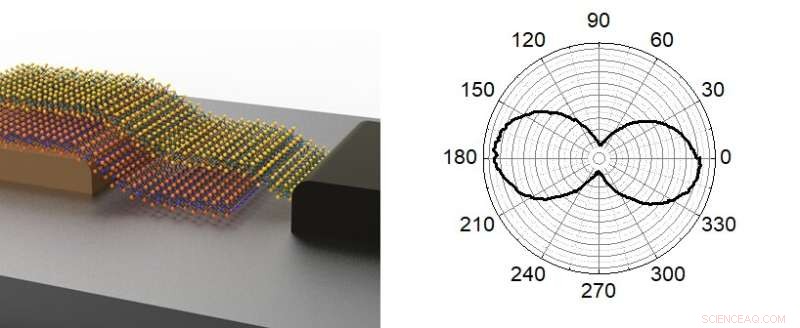 Unlocking 3D Holograms on Smartphones: A New Era of Mobile Imaging