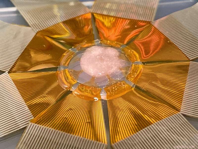 Pop‑Up Sensors Unveil Heart Cell Misfires in Real Time