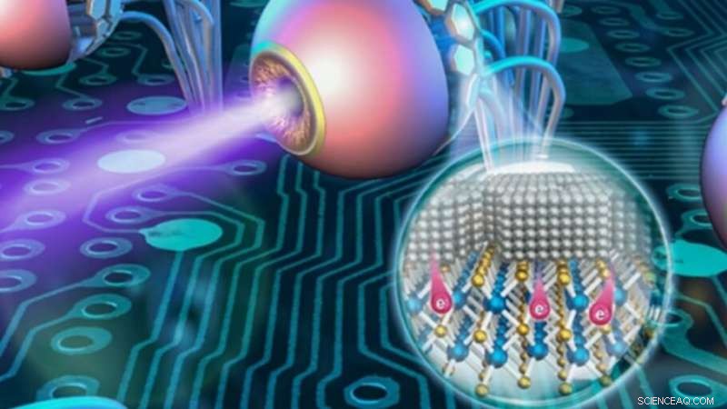 Revolutionizing Bionic Eyes: Low‑Power AI Vision Technology