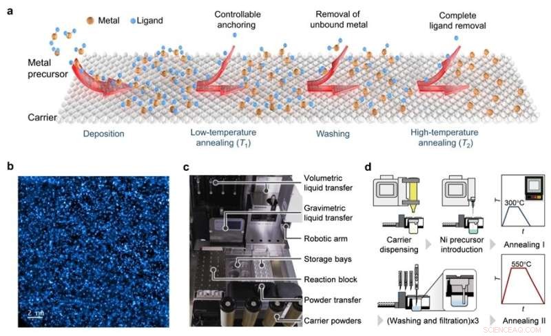 Scalable Two-Step Annealing Approach for Fabricating Ultra‑High‑Density Single‑Atom Catalyst Libraries