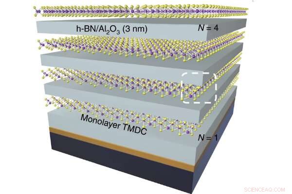 New Sulfur‑Tungsten 2D Superlattice Enhances Light‑Matter Coupling for More Efficient Photonic Devices