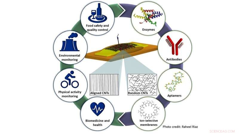 Carbon Nanotube Field-Effect Transistor Biosensors: High Sensitivity & Selectivity for Real-Time Diagnostics