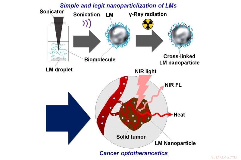 Quantum Beam‑Enhanced Liquid Metal Nanoparticles for Precision Cancer Optotheranostics