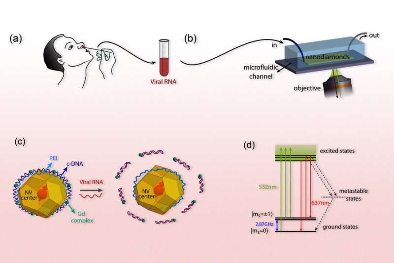 Quantum‑Physics Sensor Promises Faster, More Accurate SARS‑CoV‑2 Detection