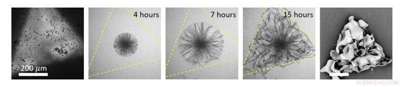 Light‑Controlled Growth of Triangular BaCO3‑Silica Nanostructures